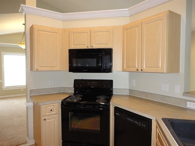 4937 Whistling Pines Ct in Wesley Chapel, FL - Building Photo - Building Photo