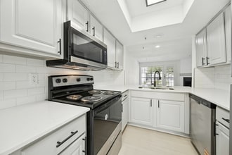 The Monte in Dallas, TX - Building Photo - Building Photo