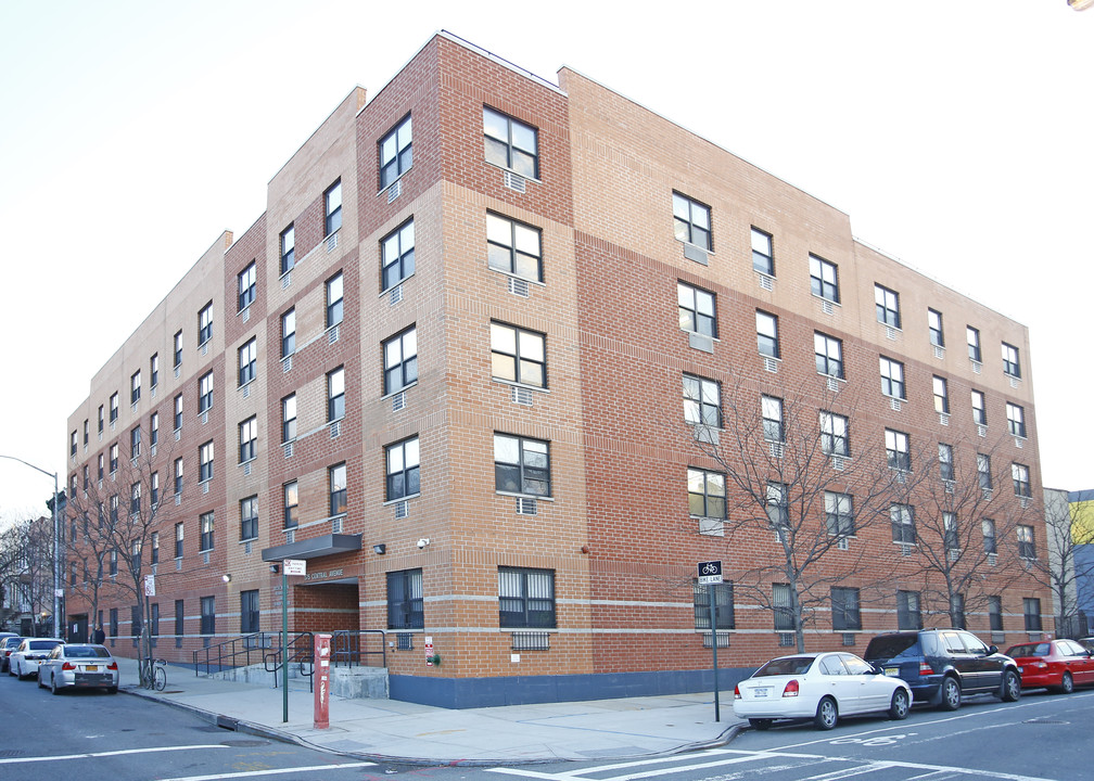 Ozzie Wilson Residences in Brooklyn, NY - Foto de edificio