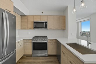 296 N Canal St in Chicago, IL - Building Photo - Building Photo