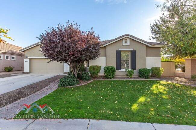 20309 E Avenida Del Valle in Queen Creek, AZ - Building Photo - Building Photo