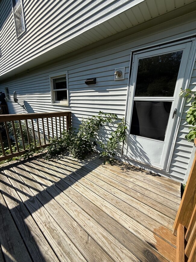 7 Ledgeland Dr in Mystic, CT - Building Photo - Building Photo