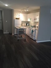 855 N Dewitt Pl in Chicago, IL - Foto de edificio - Building Photo