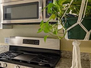 3351 Jasmine St in Denver, CO - Building Photo - Building Photo