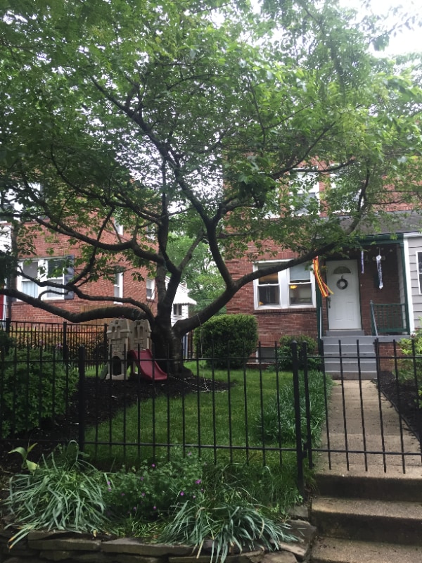 property at 529 E Nelson Ave