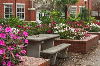 Countryside at the University, 2-302 in Gainesville, FL - Foto de edificio - Building Photo