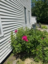 165 State St, Unit 1 in Ellsworth, ME - Building Photo - Building Photo