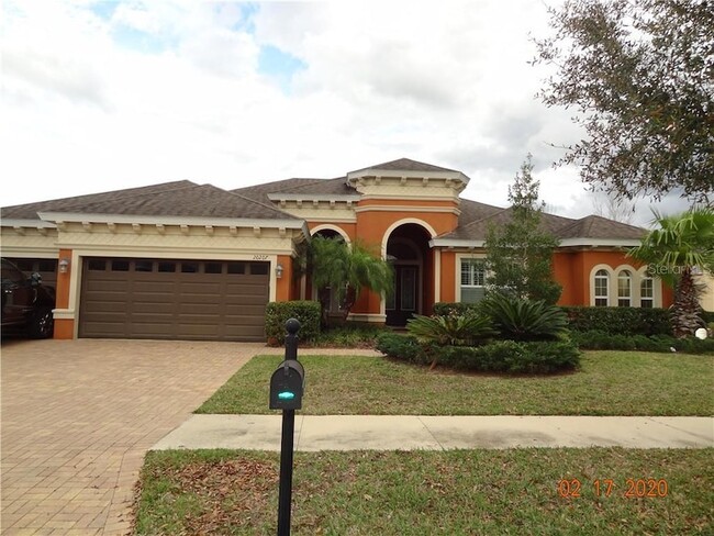 20207 Oak Thorn Way in Tampa, FL - Building Photo - Building Photo