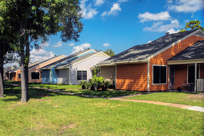 Forest Green Townhomes in Houston, TX - Building Photo - Building Photo