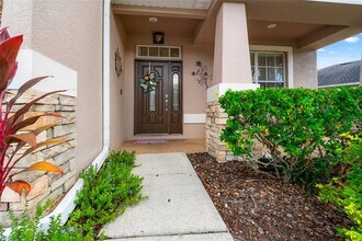 2330 Nesslewood Dr in Wesley Chapel, FL - Building Photo - Building Photo