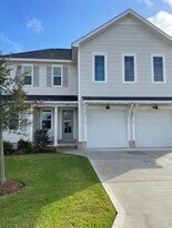 263 Windrow Way in Inlet Beach, FL - Building Photo