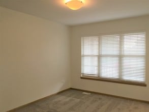 16200 Carlow Cir in Manhattan, IL - Building Photo - Building Photo