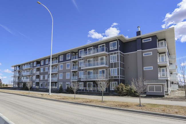 92 Cornerstone Pass NE in Calgary, AB - Building Photo - Building Photo