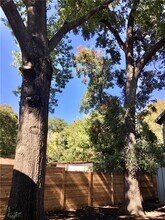 1806 Haskell St in Austin, TX - Building Photo - Building Photo