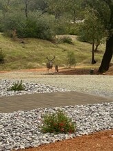 11303 Quartz Hill Rd in Redding, CA - Building Photo - Building Photo