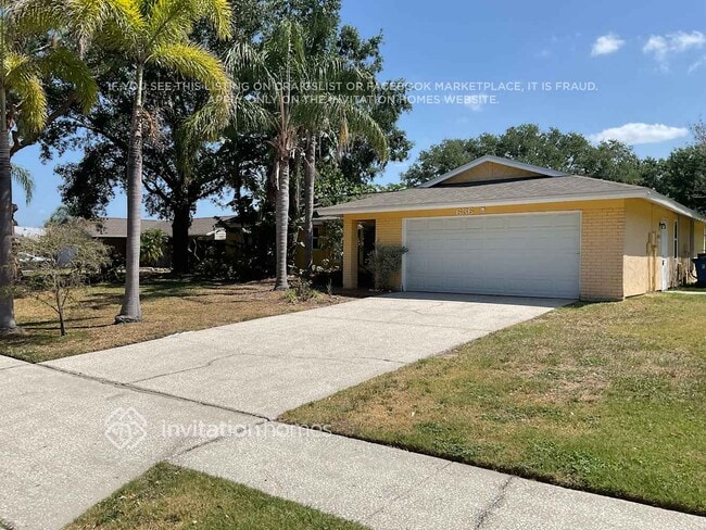 636 Shorelake Pl in Oldsmar, FL - Foto de edificio - Building Photo