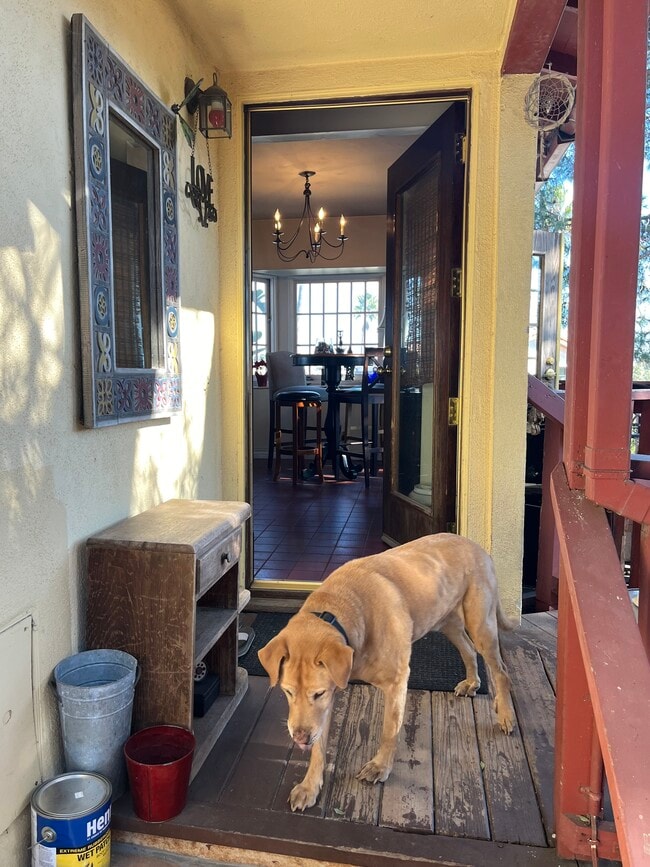 7221 Earldom Ave in Playa Del Rey, CA - Building Photo - Building Photo