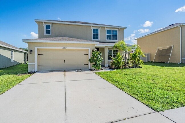 30907 Summer Sun Lp in Wesley Chapel, FL - Foto de edificio - Building Photo