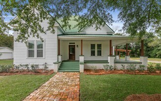 142 S Broad St in Newville, AL - Building Photo