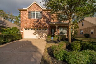 78 E Heritage Mill Cir in Tomball, TX - Building Photo