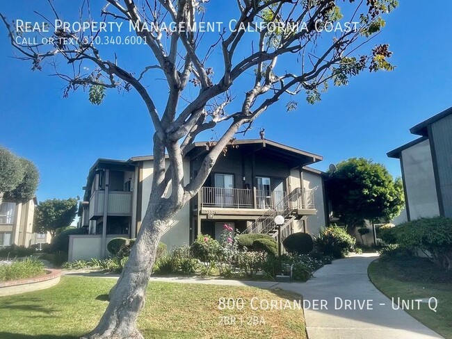 800 Coriander Dr in Torrance, CA - Building Photo - Building Photo