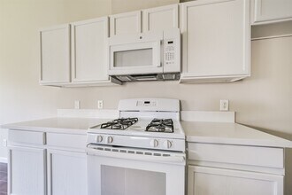 19638 Plantation Grove Tr in Katy, TX - Building Photo - Building Photo