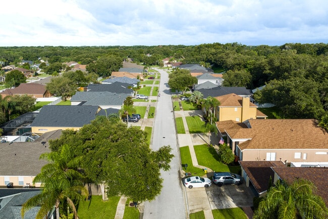 Apartments for rent in Valrico, FL