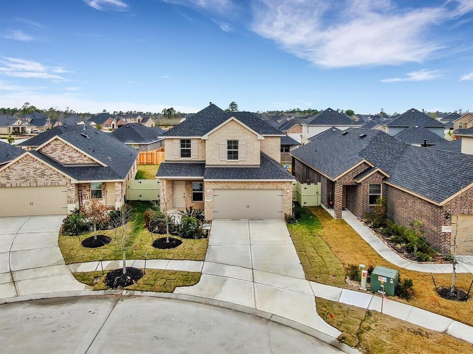 16446 Rosary Pea Pl in Conroe, TX - Foto de edificio