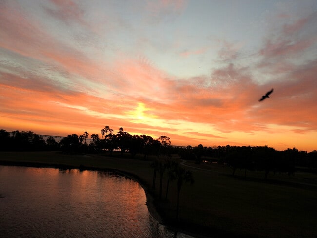 property at 2620 Cove Cay Dr