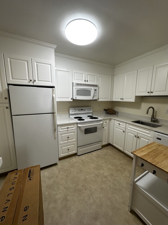 36 Vernon St, Unit 203 in Brookline, MA - Building Photo