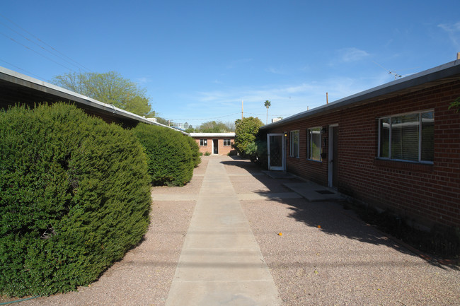 320-340 N Campbell Ave in Tucson, AZ - Building Photo - Building Photo