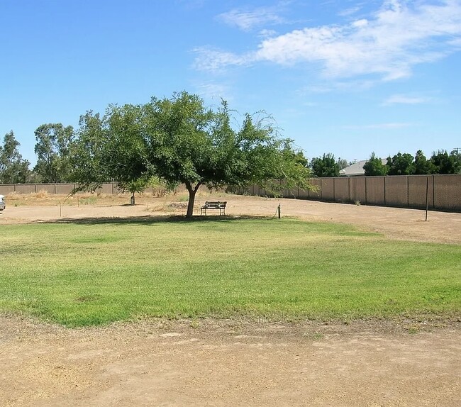 24947 Tropical Dr in Madera, CA - Foto de edificio - Building Photo