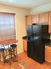 580 Green Ash St in Highlands Ranch, CO - Building Photo - Building Photo
