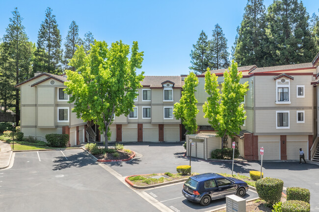 Smoketree Condominiums in Pleasanton, CA - Foto de edificio - Building Photo