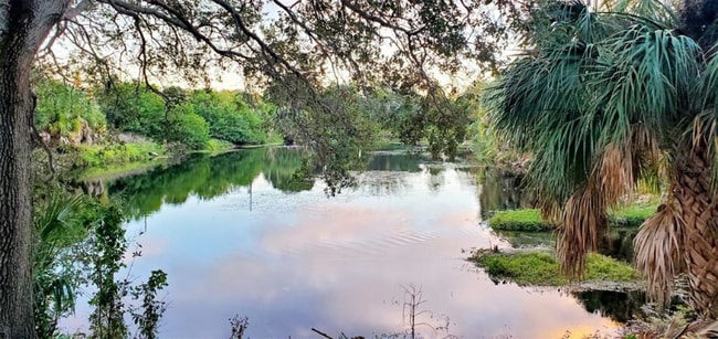 701 S Madison Ave in Clearwater, FL - Building Photo - Building Photo