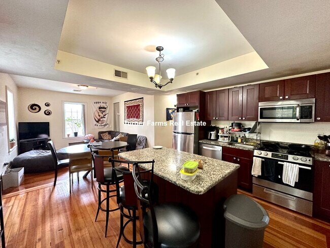 107 Fisher Ave, Unit 1 in Boston, MA - Foto de edificio - Building Photo