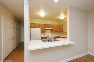 1550 W Jackson Blvd in Chicago, IL - Building Photo - Building Photo