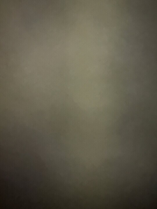 79 Washington St in Kingston, PA - Building Photo