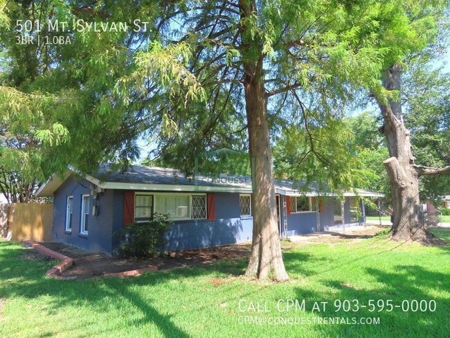 501 Mt Sylvan St in Lindale, TX - Building Photo - Building Photo