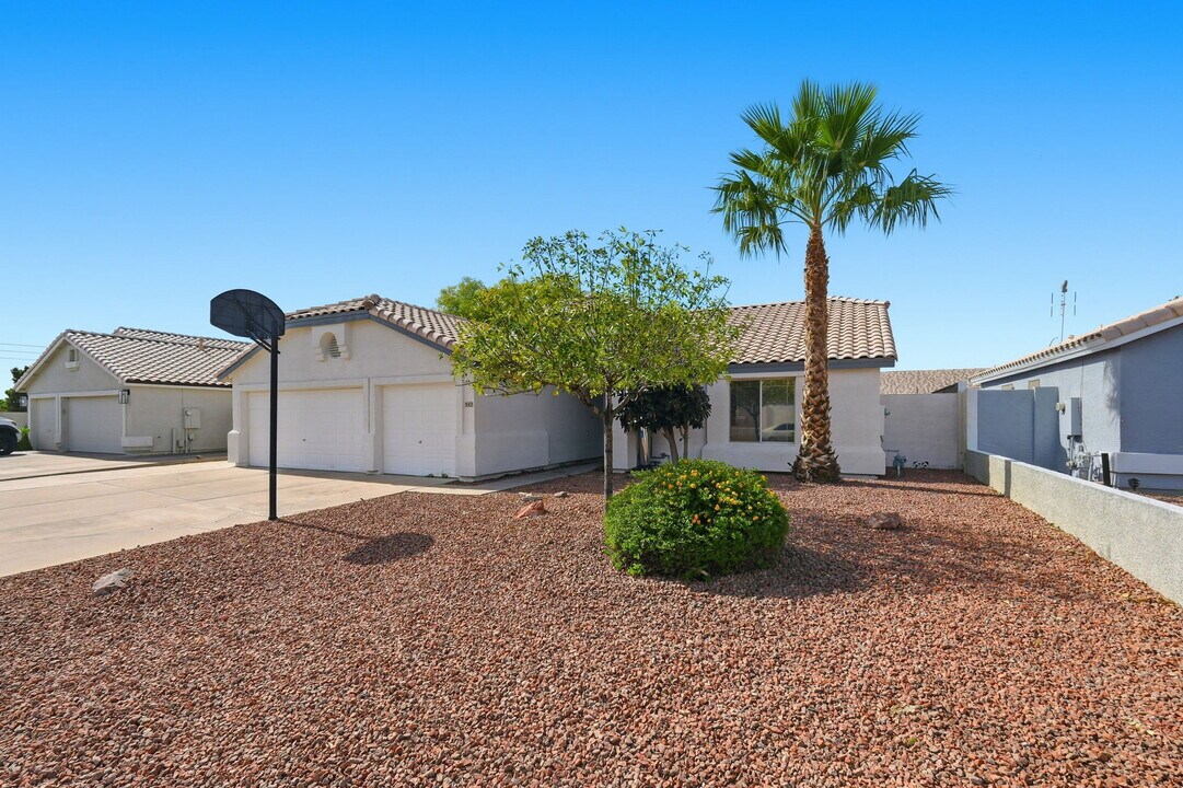 542 N Palo Verde in Mesa, AZ - Building Photo