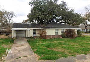 1 Carlota Ct in Houston, TX - Building Photo