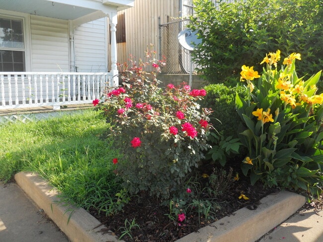 903 Grove St in Charlottesville, VA - Building Photo - Building Photo