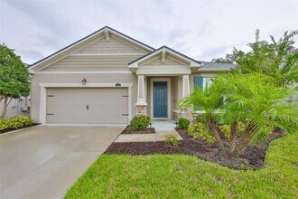11412 Blue Woods Dr in Riverview, FL - Building Photo - Building Photo