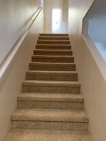 717 E Hafen Ln in Mesquite, NV - Building Photo