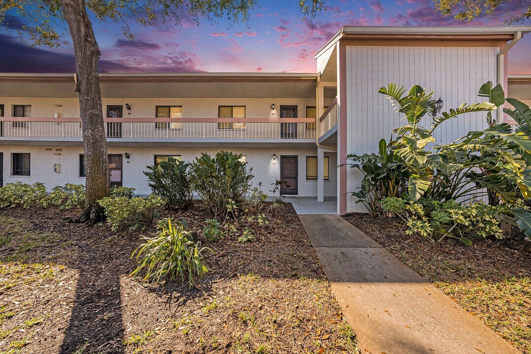 141 Lakeview Way in Oldsmar, FL - Building Photo