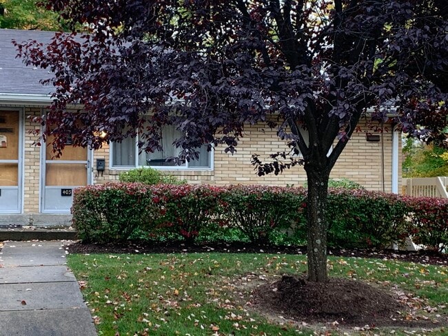 401 W Water St, Unit 403 in Slippery Rock, PA - Building Photo - Building Photo