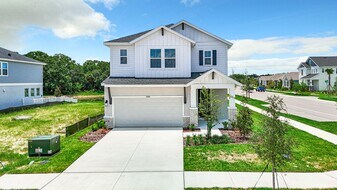 3391 Guanabana Xing in Wesley Chapel, FL - Building Photo