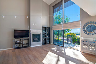 1047 Santa Helena Park Ct in Solana Beach, CA - Building Photo