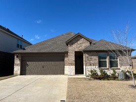 2917 Bald Eagle Blvd in Krugerville, TX - Building Photo