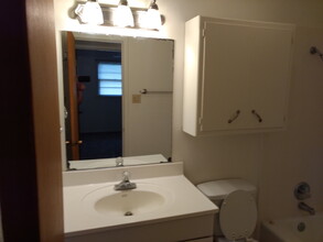 1208 Dover Ave in Lubbock, TX - Foto de edificio - Building Photo